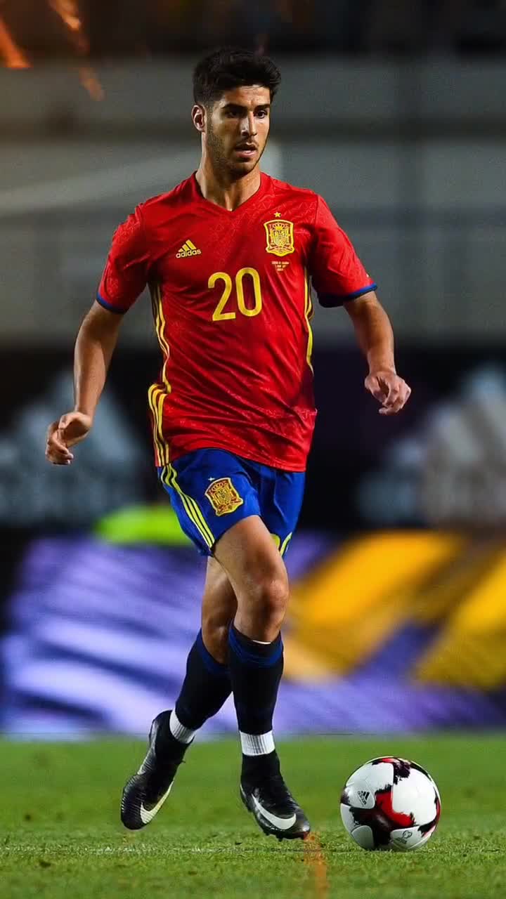 的专业判断 的专业判断